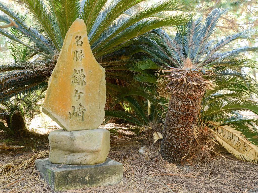 Hotel Hagoromo Shizuoka Bagian luar foto